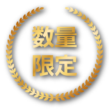 数量限定
